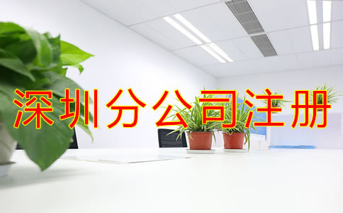 深圳分公司注冊資金要求有哪些？
